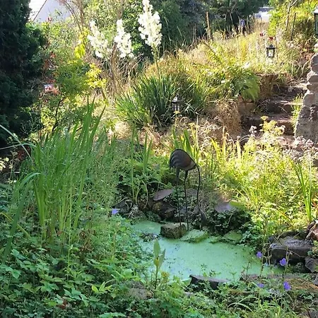 Kellerwald * Waldeck (Hessen)