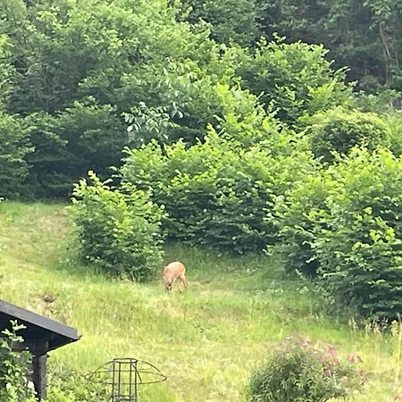 Lejlighed Kellerwald