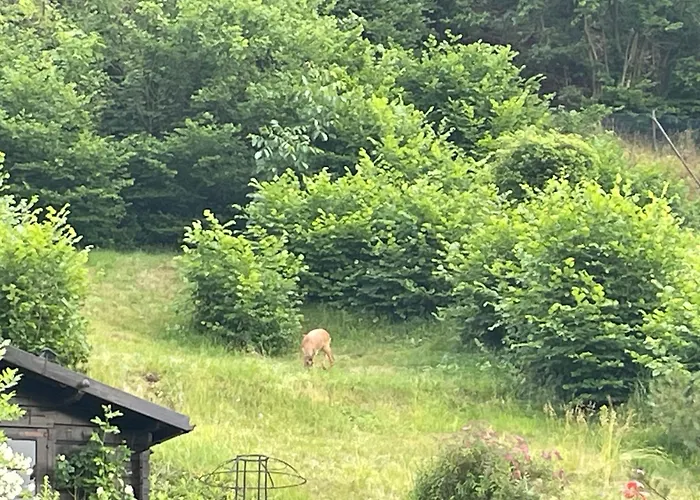 Lejlighed Kellerwald